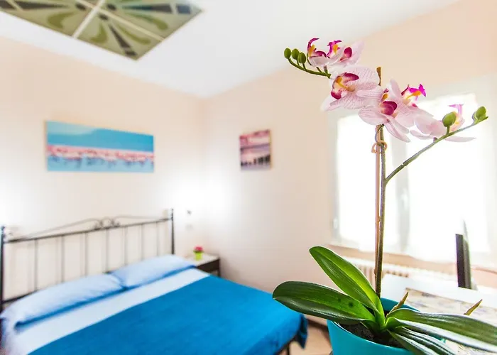 Kimba Aparthotel 2*